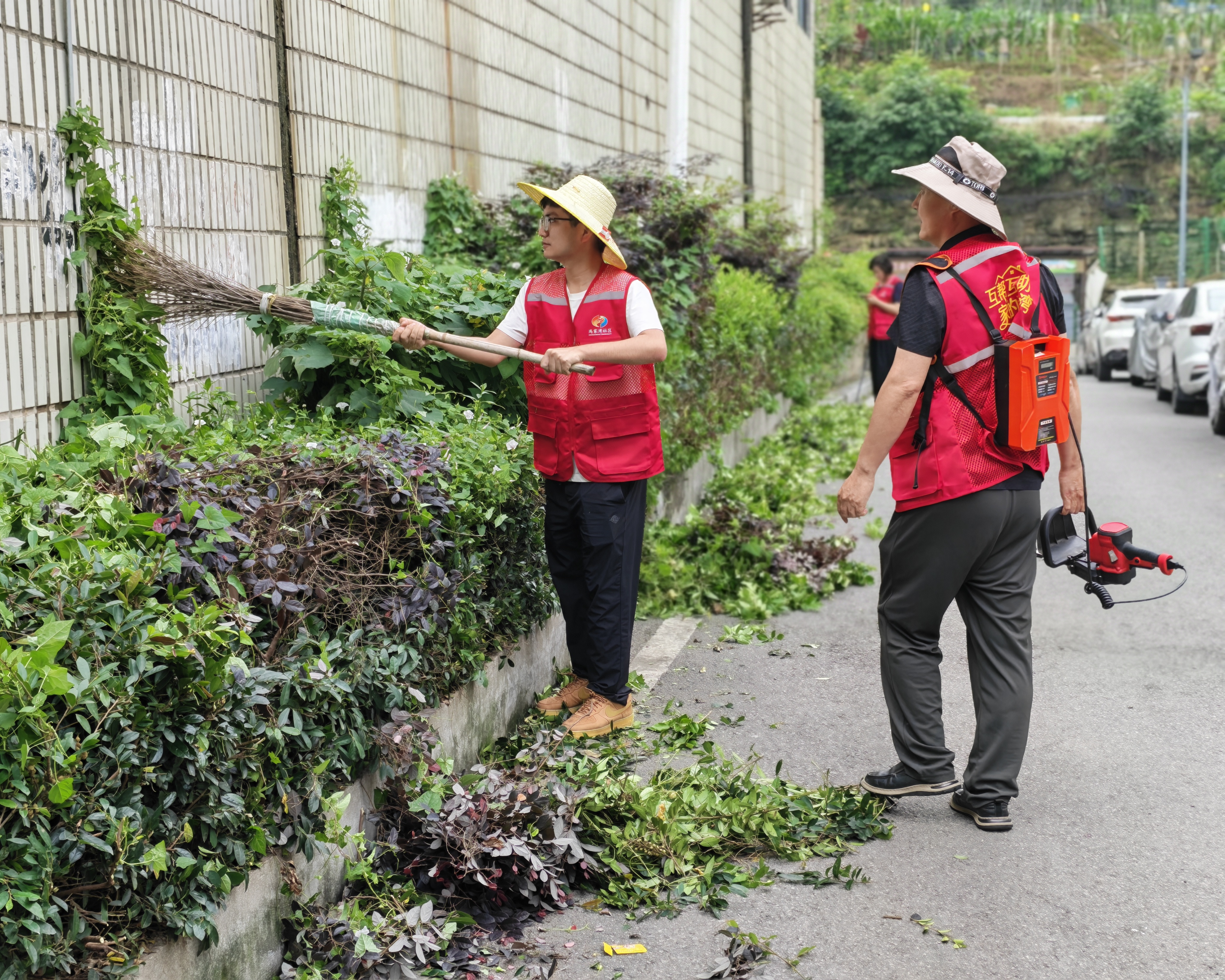 冯家湾社区：修剪绿植美环境 志愿服务暖街巷