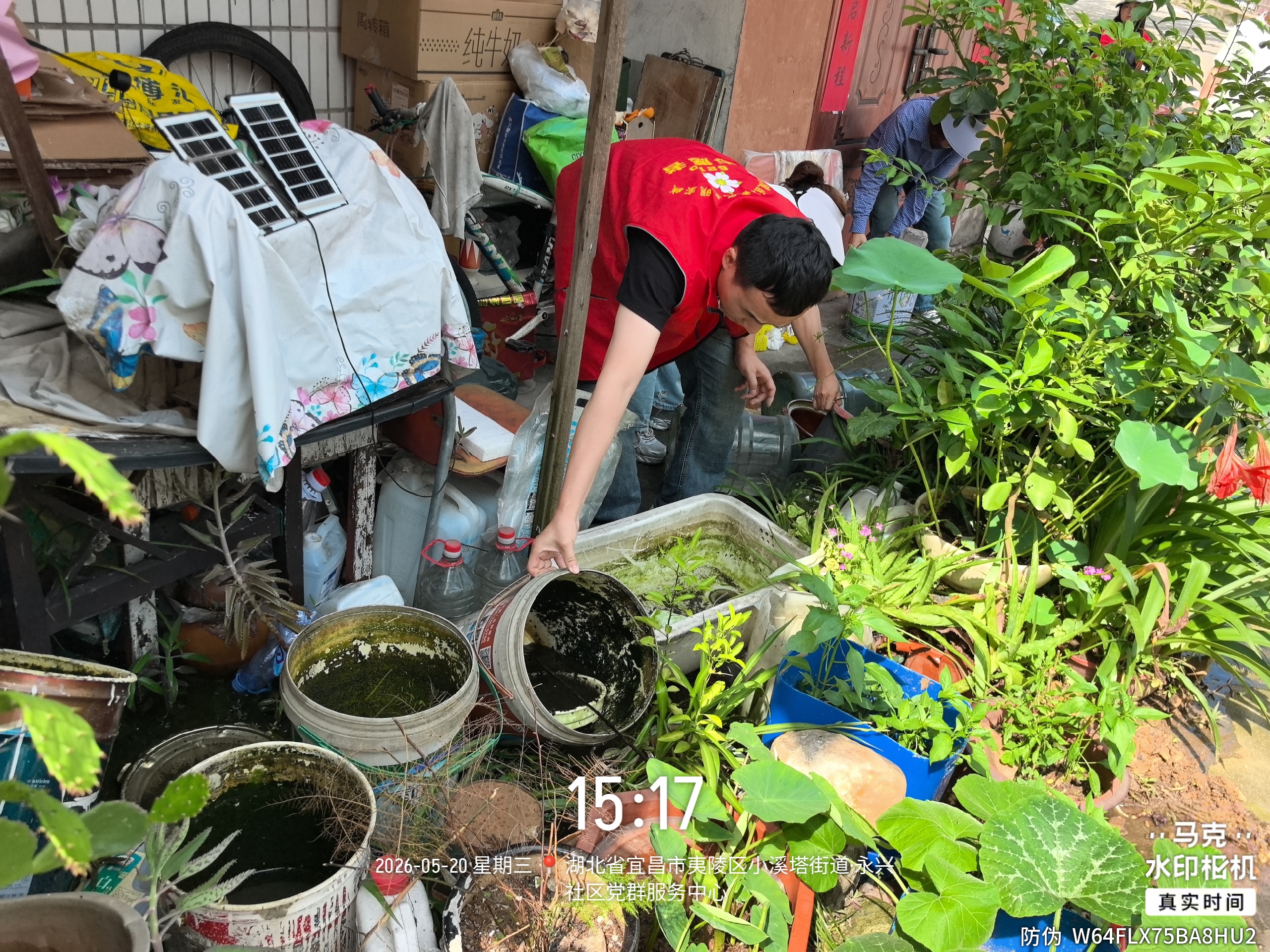 永兴社区：雨后初晴除积水 防蚊消杀护民生