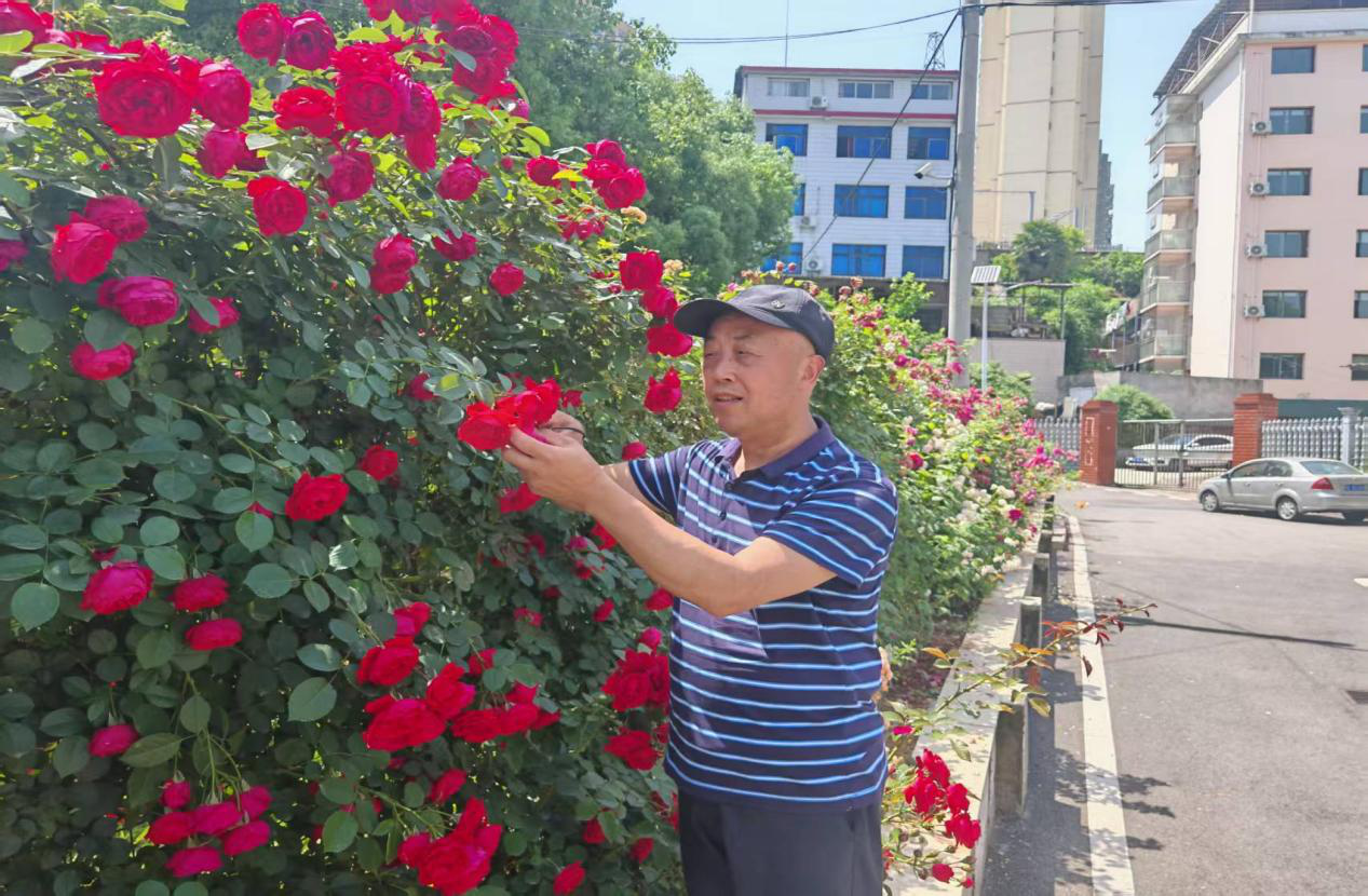 望江社区宋万能以微光绘就宜居画卷