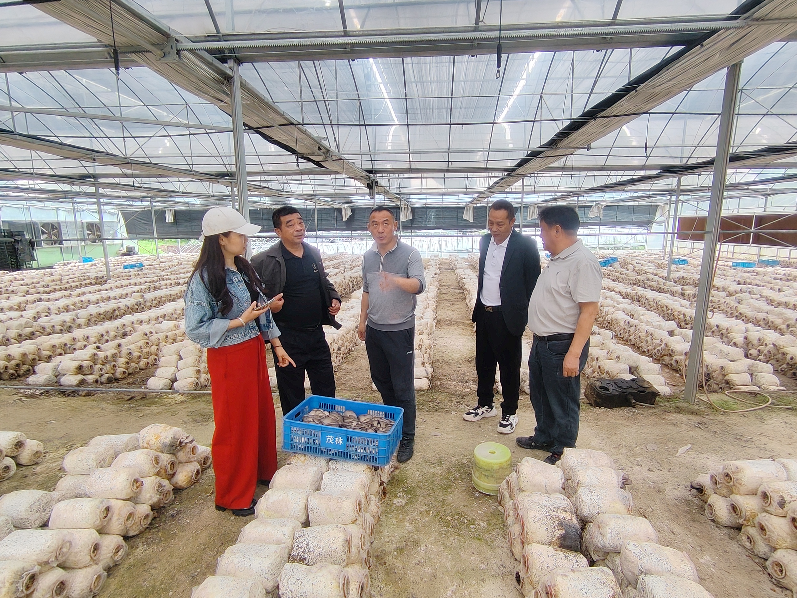 柏果埫村：学习考察取真经 开拓眼界谋发展