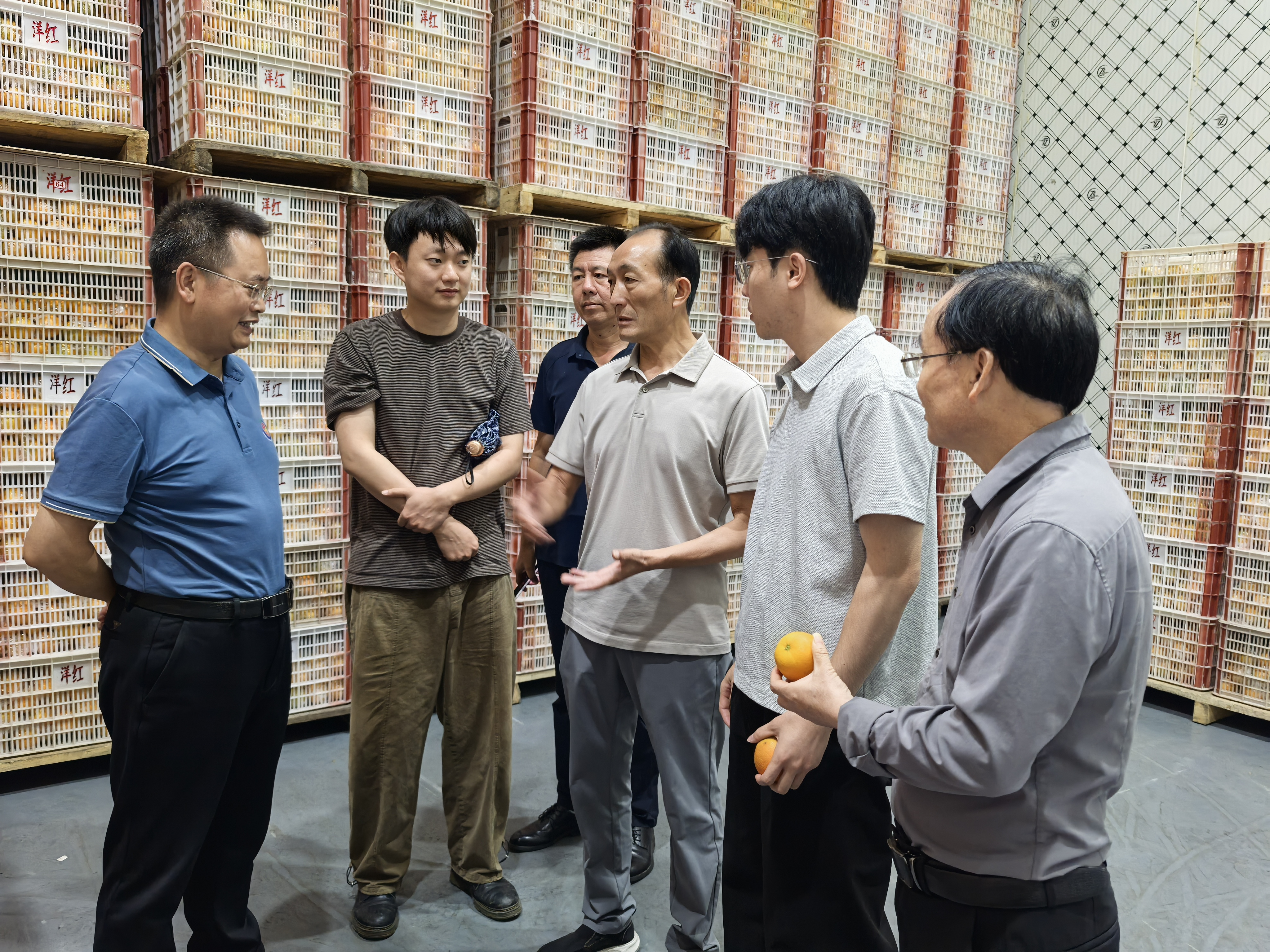 破解冷库损耗难 打造智慧示范园——柑橘体系首席科学家程运江带队支招夷陵产业升级