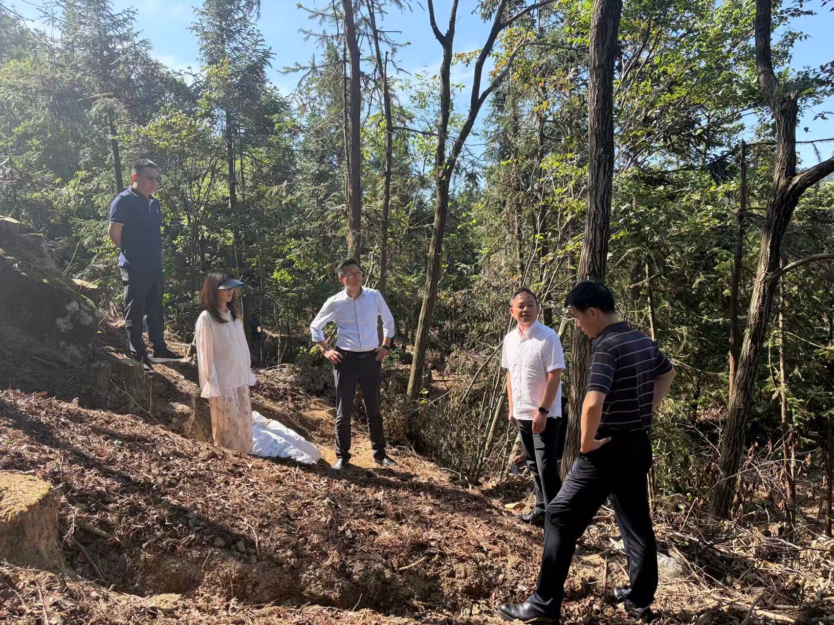 察一线“麻”情 寻产业“良”方——区农技中心下沉一线开展天麻产业蹲点调研