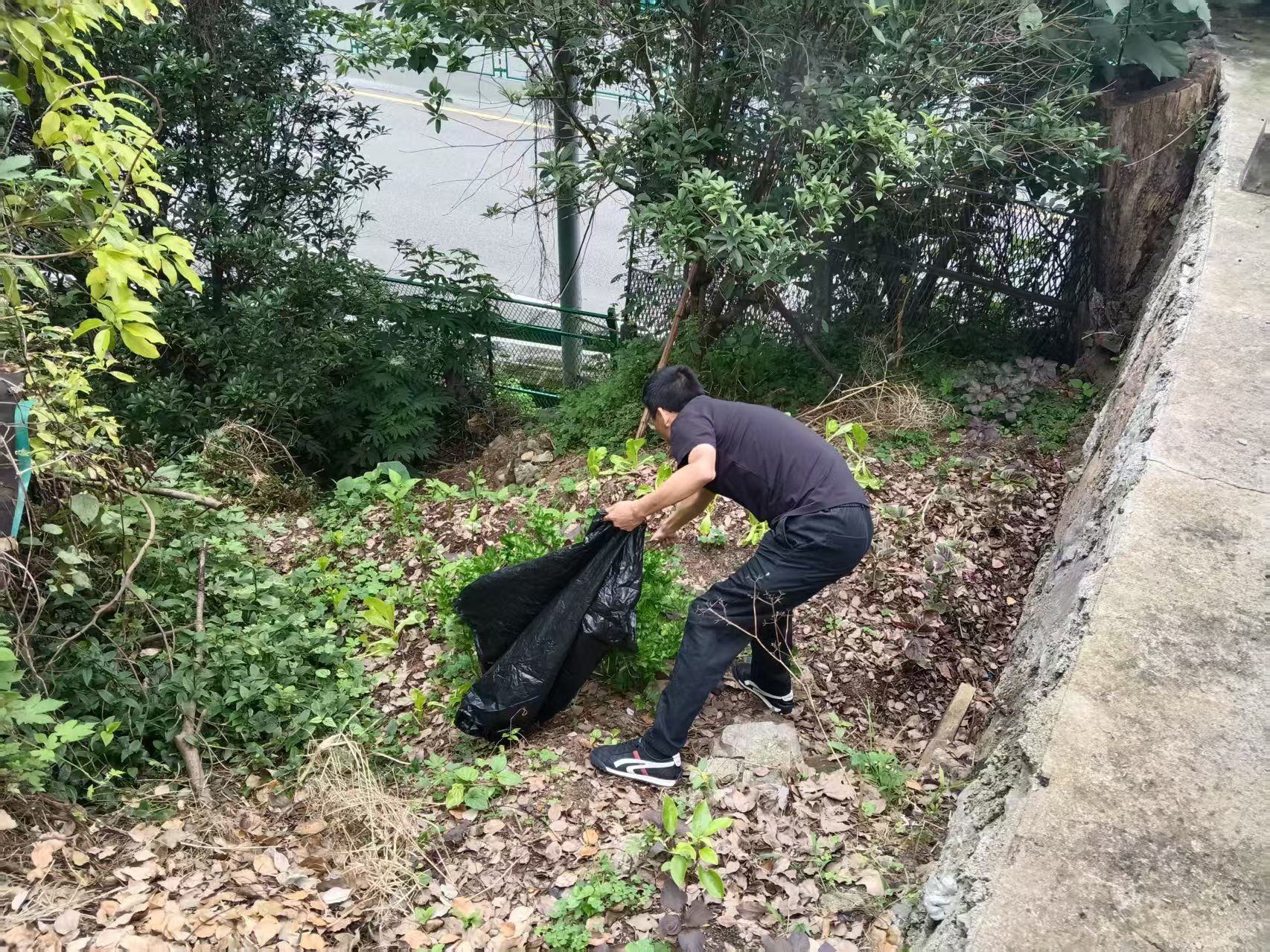 望江社区：多措并举办实事 筑牢环境安全线