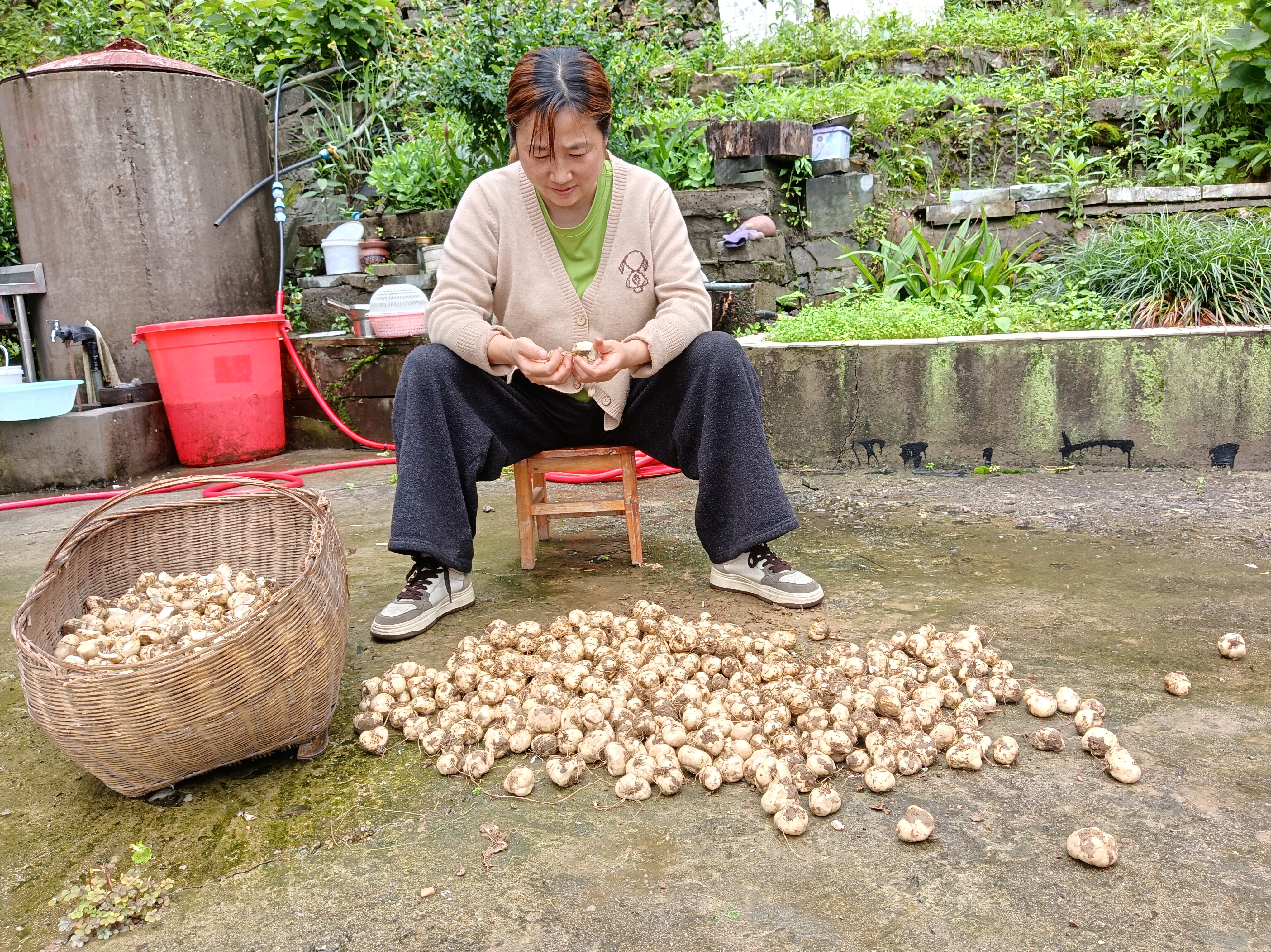赵玉华：用爱撑起一个家 以德温暖一片乡