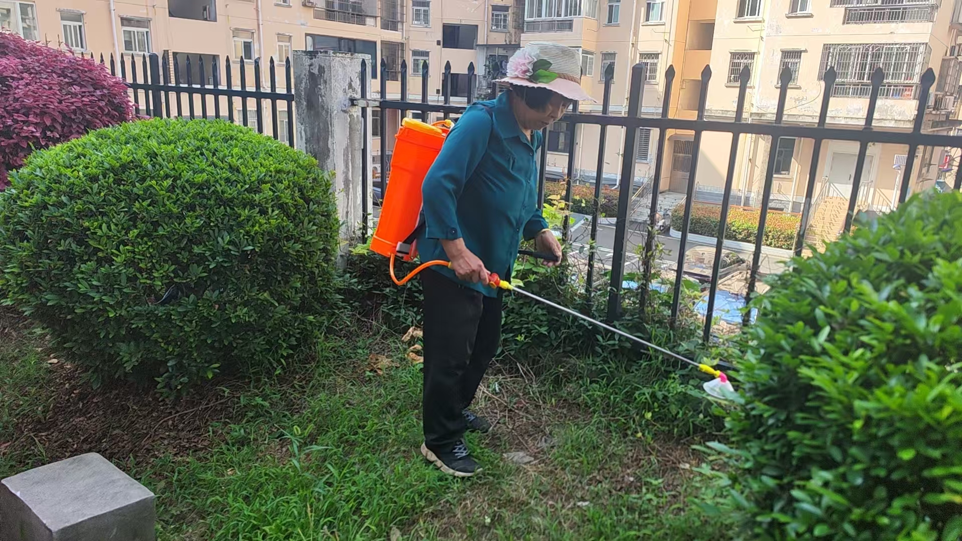 平湖社区：雨后除蚊护健康 多措并举筑防线