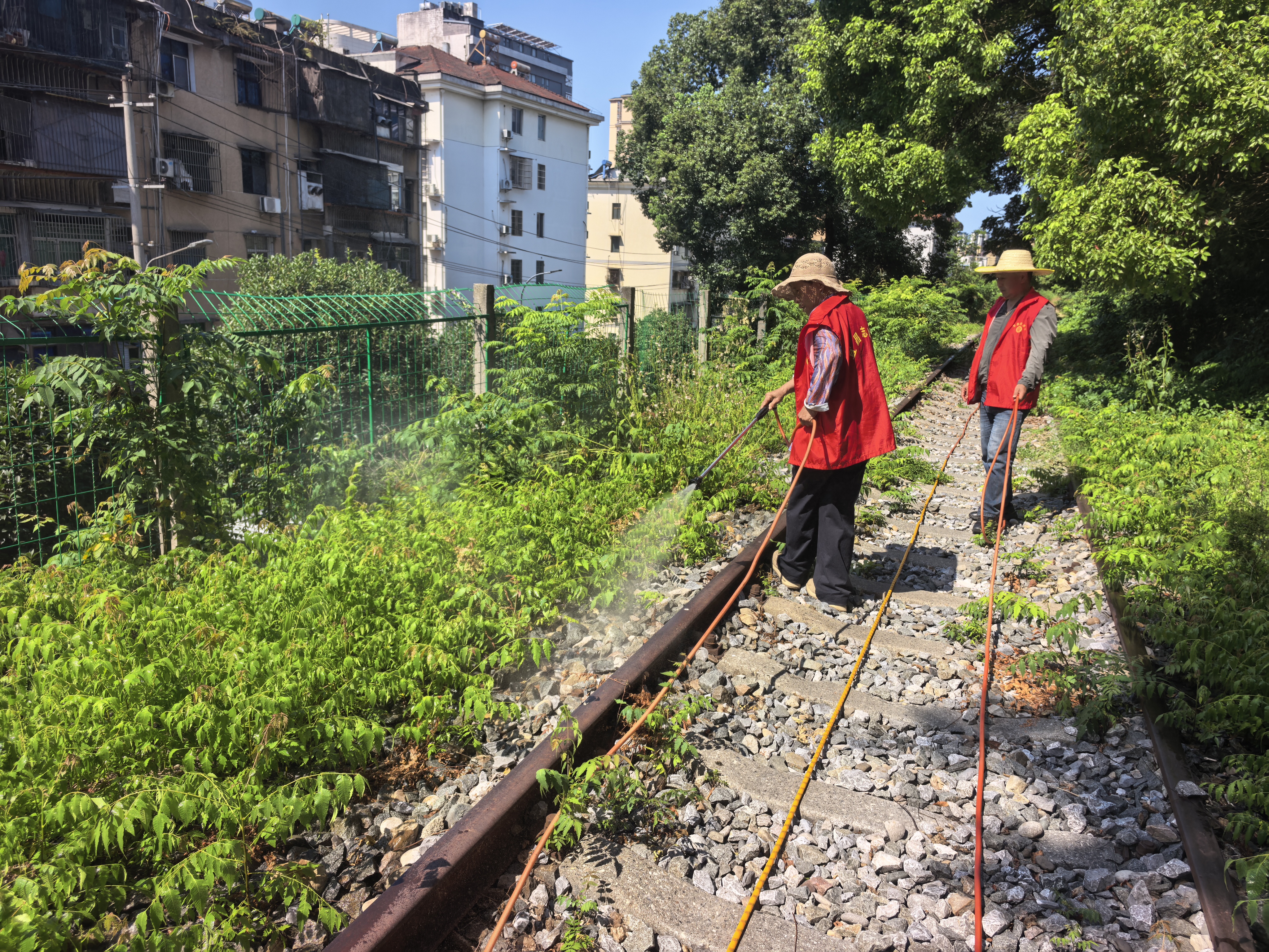 东湖社区：夏日消杀护环境 铁路沿线焕新颜