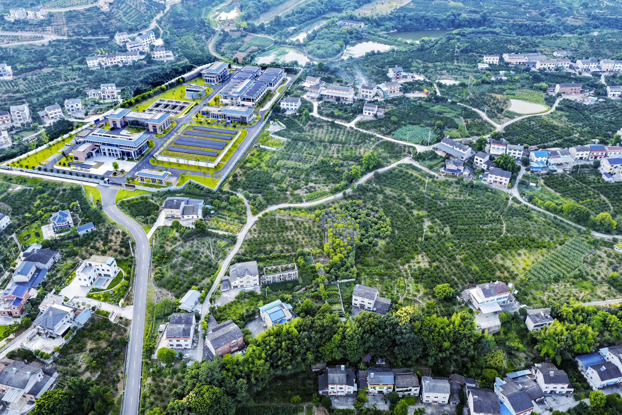 官庄村：橘园叠翠通坦途 山水相融绘振兴新卷