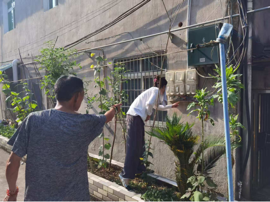 南津关村：特困老人家中线路烧坏 志愿者及时维修除隐患