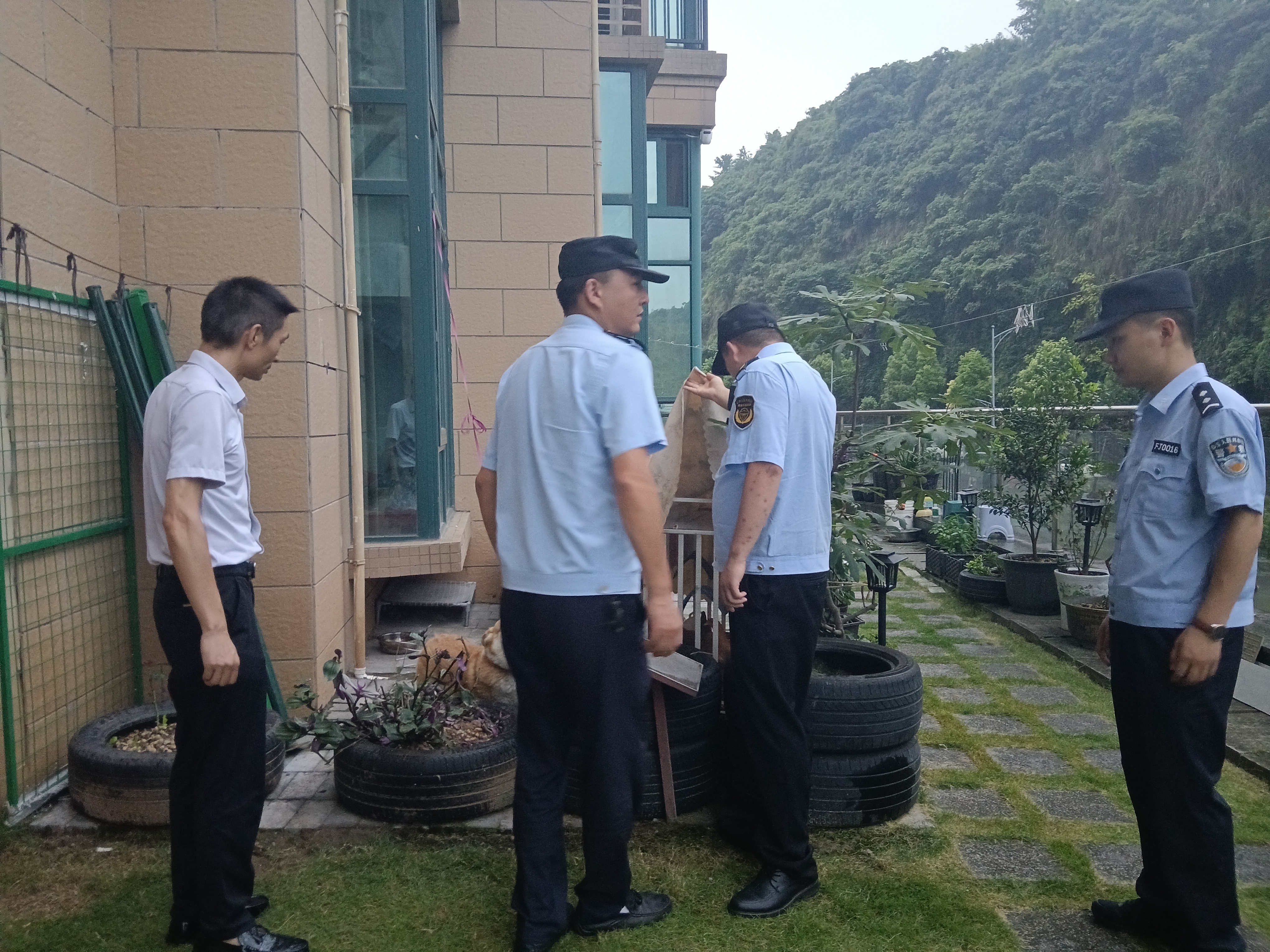 绿洲社区：整治小区违规养禽 守护邻里宜居环境