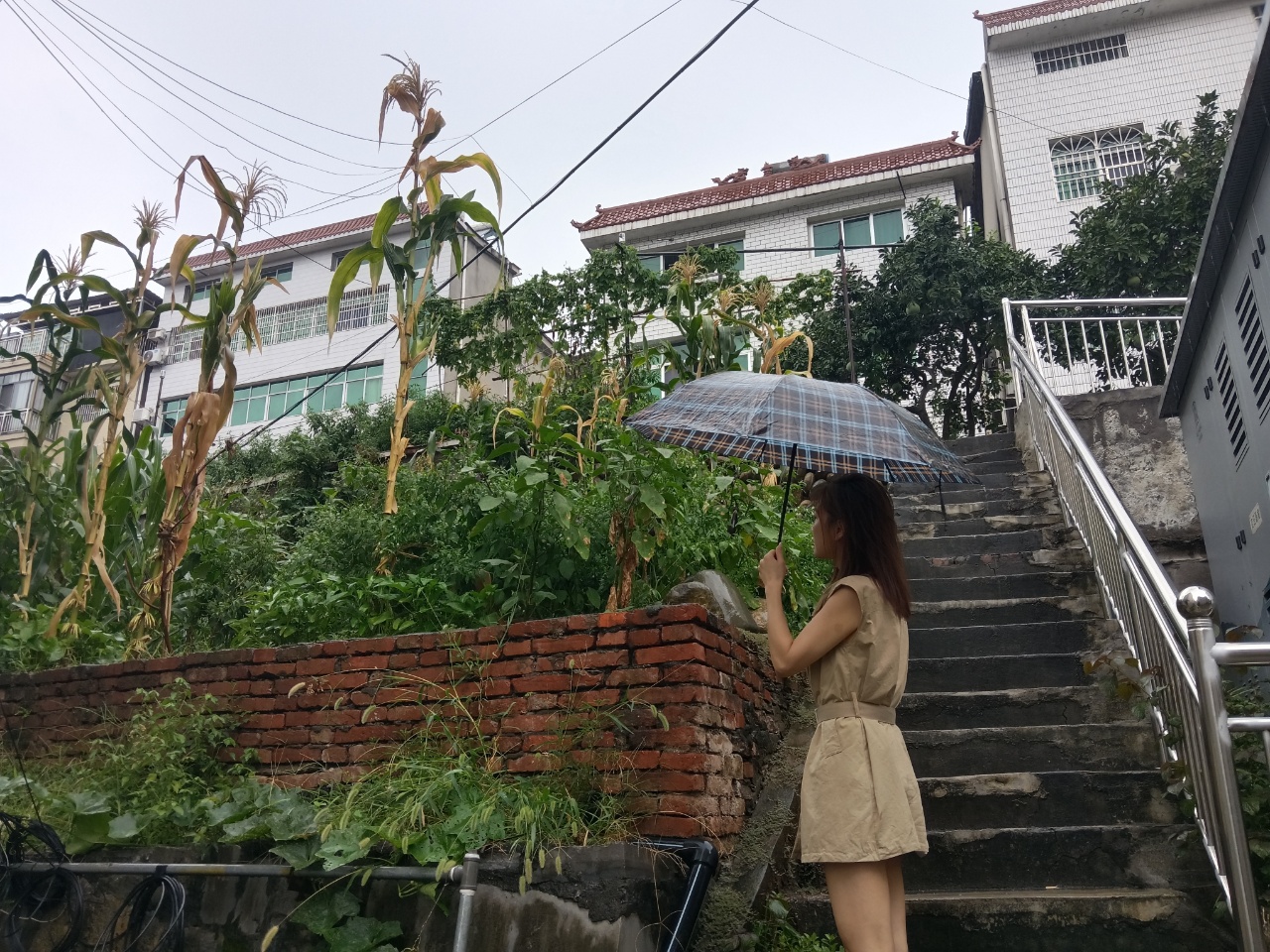 东湖社区：开展防汛专项巡查 筑牢雨天安全防线