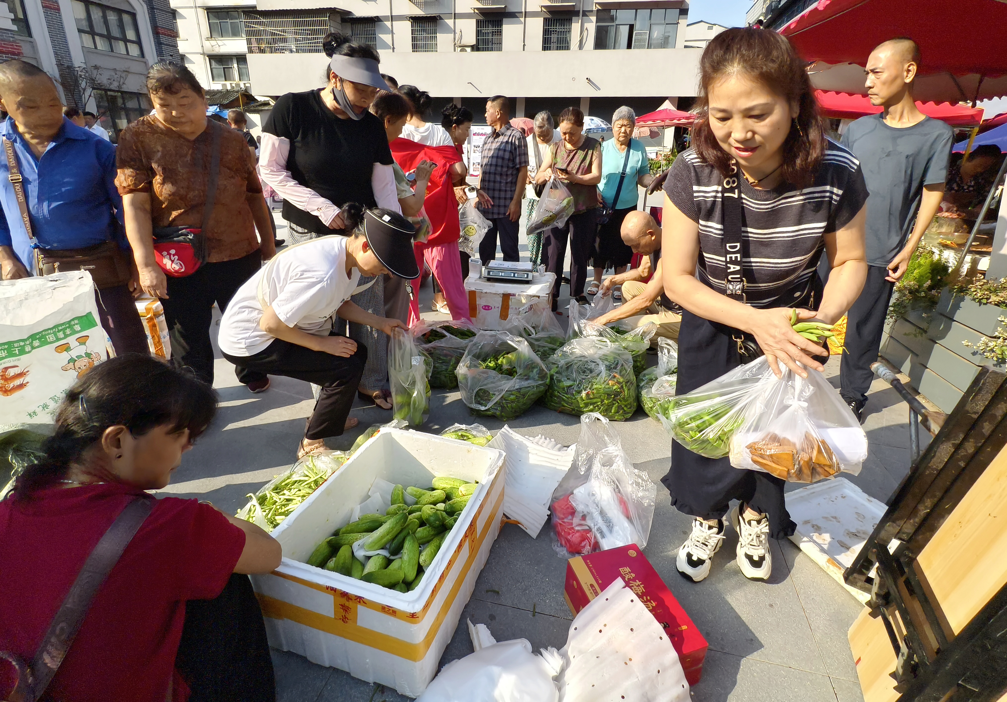 寻迹红色蜂笼寨 助农惠民暖夷陵