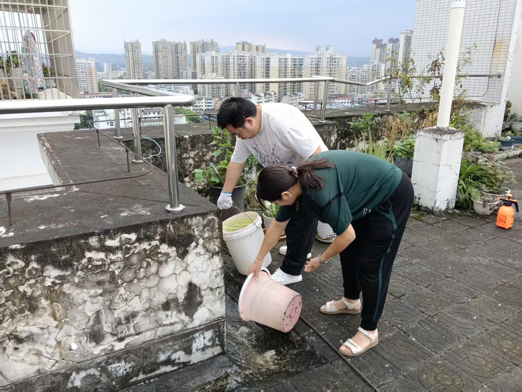 平湖社区：翻盆倒罐清积水 科学消杀灭蚊虫