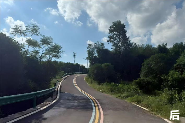 钟家畈村：旧路换新颜  同心筑坦途