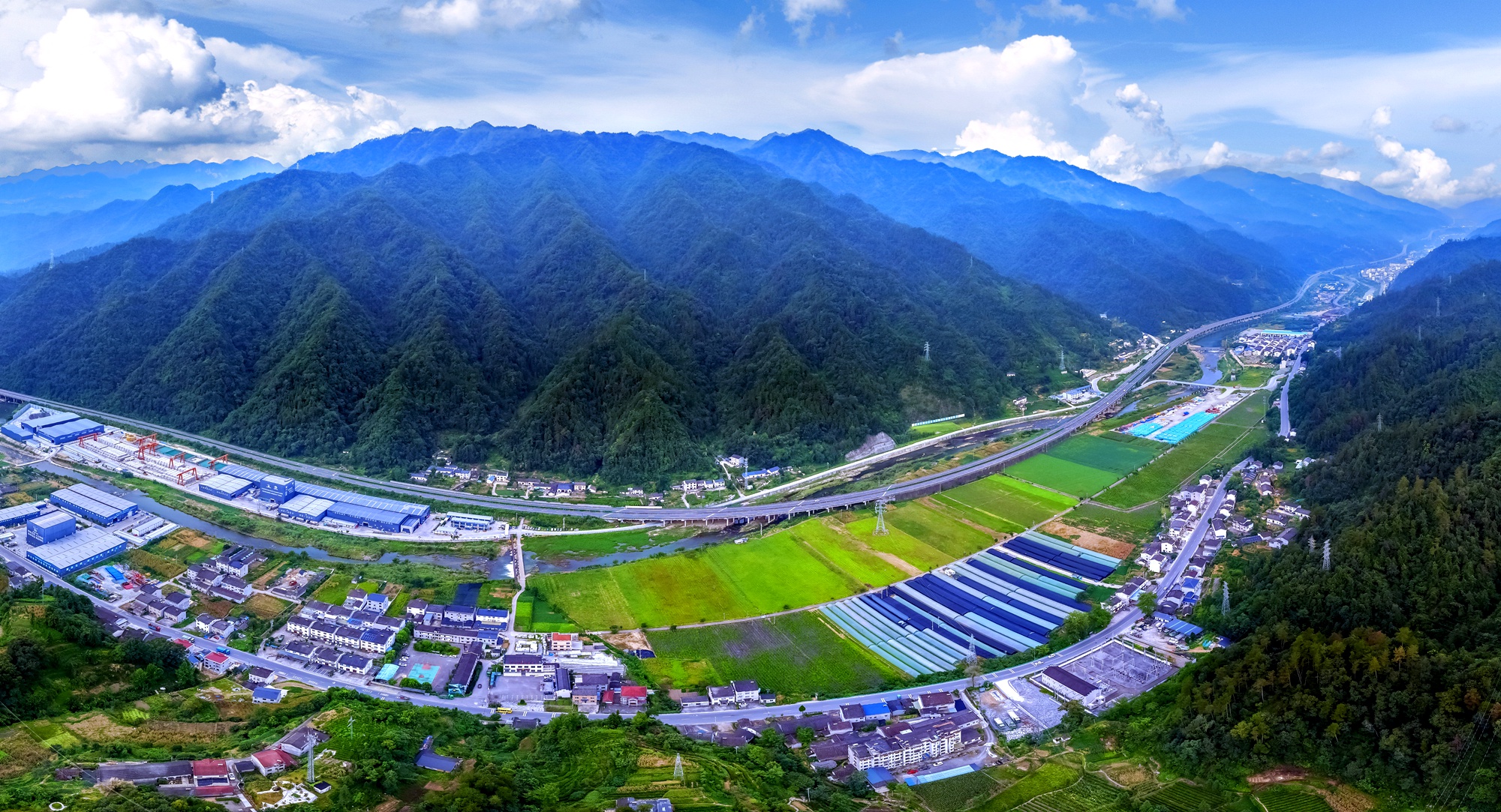 乱石荒滩焕新绿 道地药材铺就夷陵乡村振兴致富路