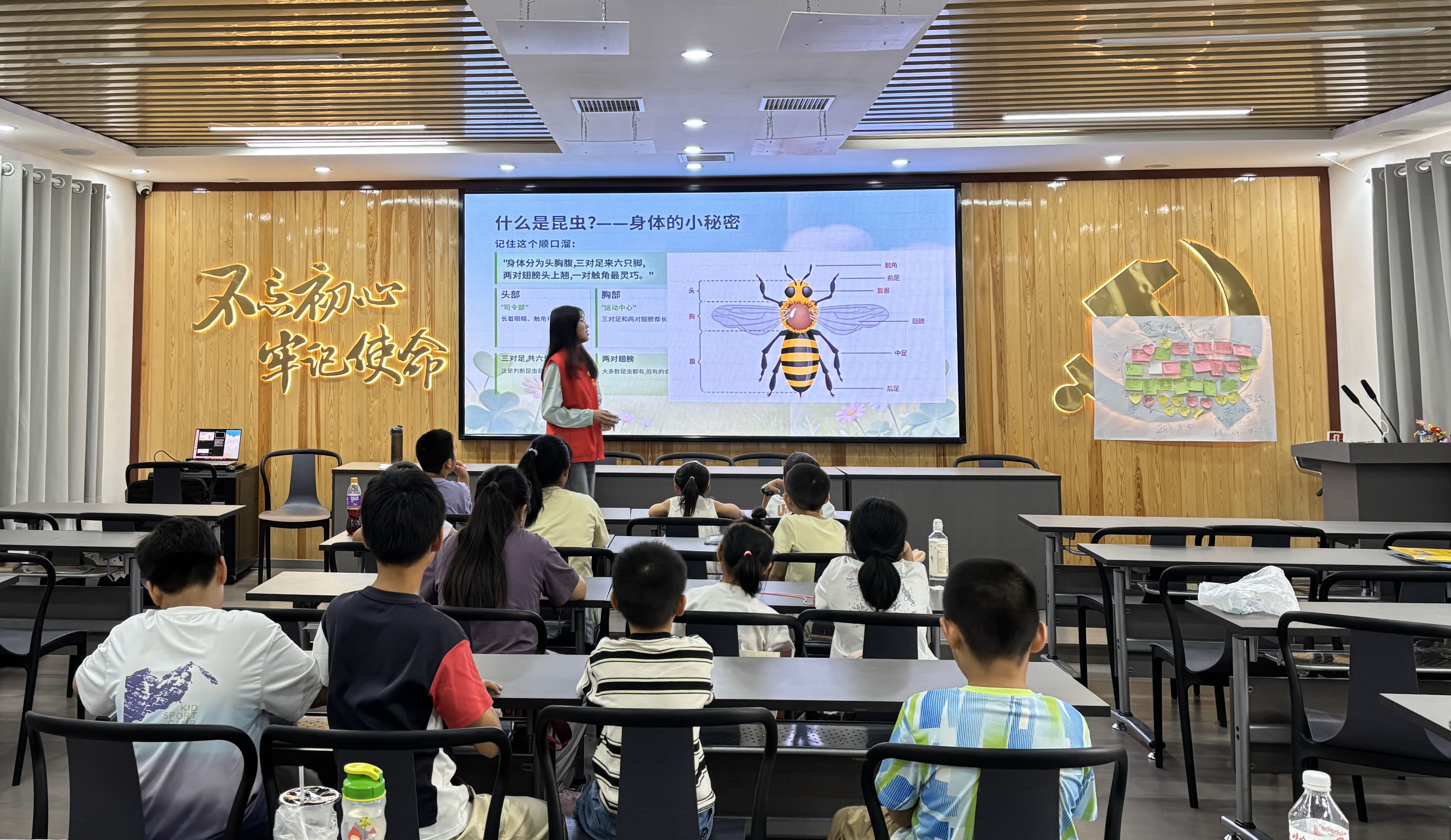 东湖社区：探秘微观昆虫世界 自然科普点亮童心