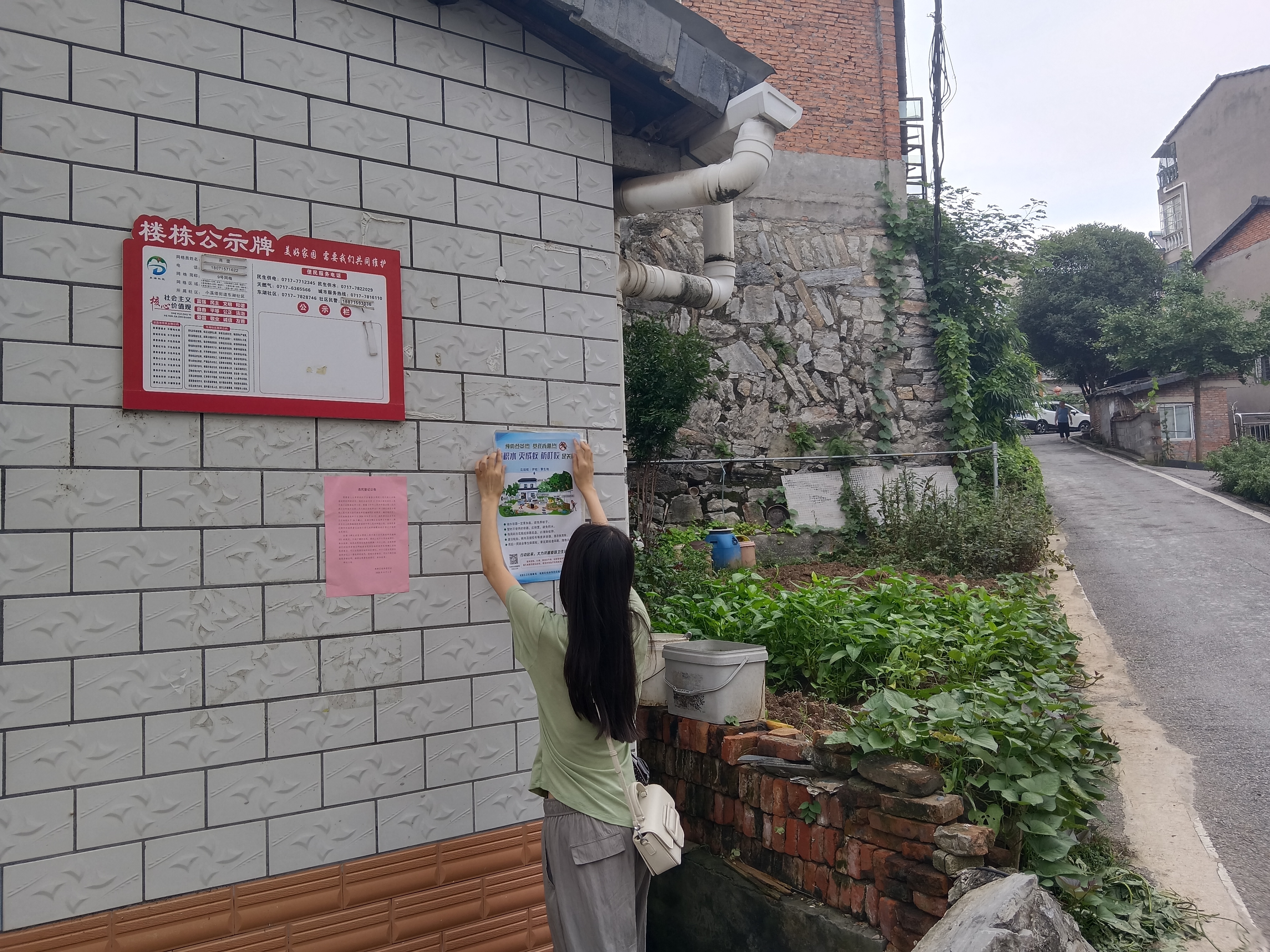东湖社区：筑牢蚊虫防控防线 守护居民健康安全