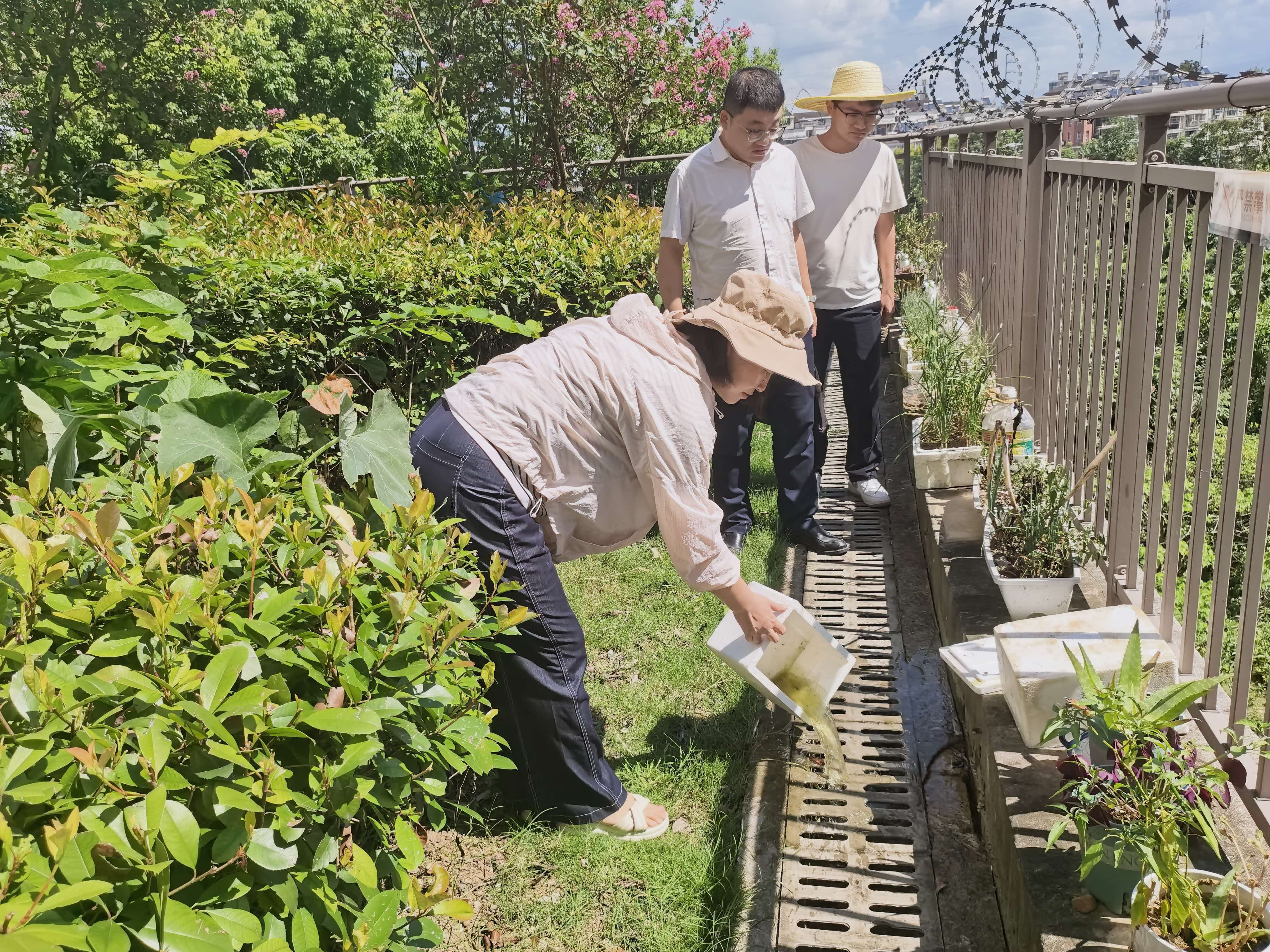 冯家湾社区：清除积水防蚊虫 筑牢防线护健康