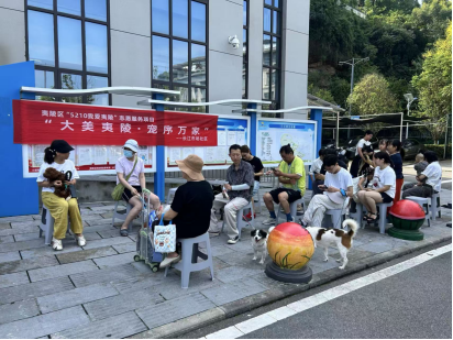 长江市场社区：“科学养宠 健康护航”公益义诊暖心落幕