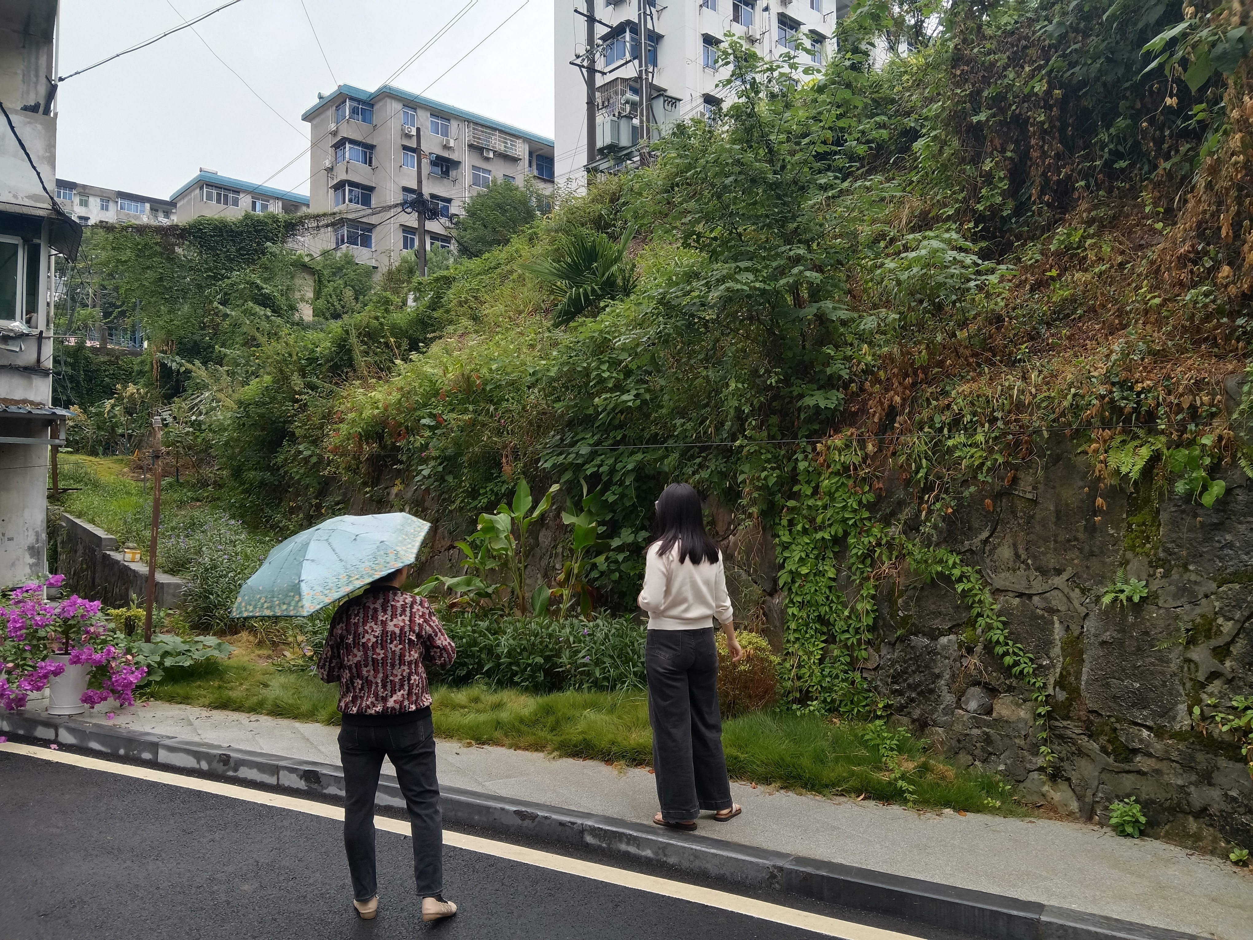 望江社区：开展地灾专项排查 用心守护家园平安