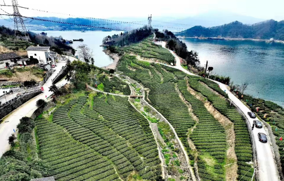 移民美丽乡村项目精准落地  韩家湾村三年蝶变绘就美丽家园