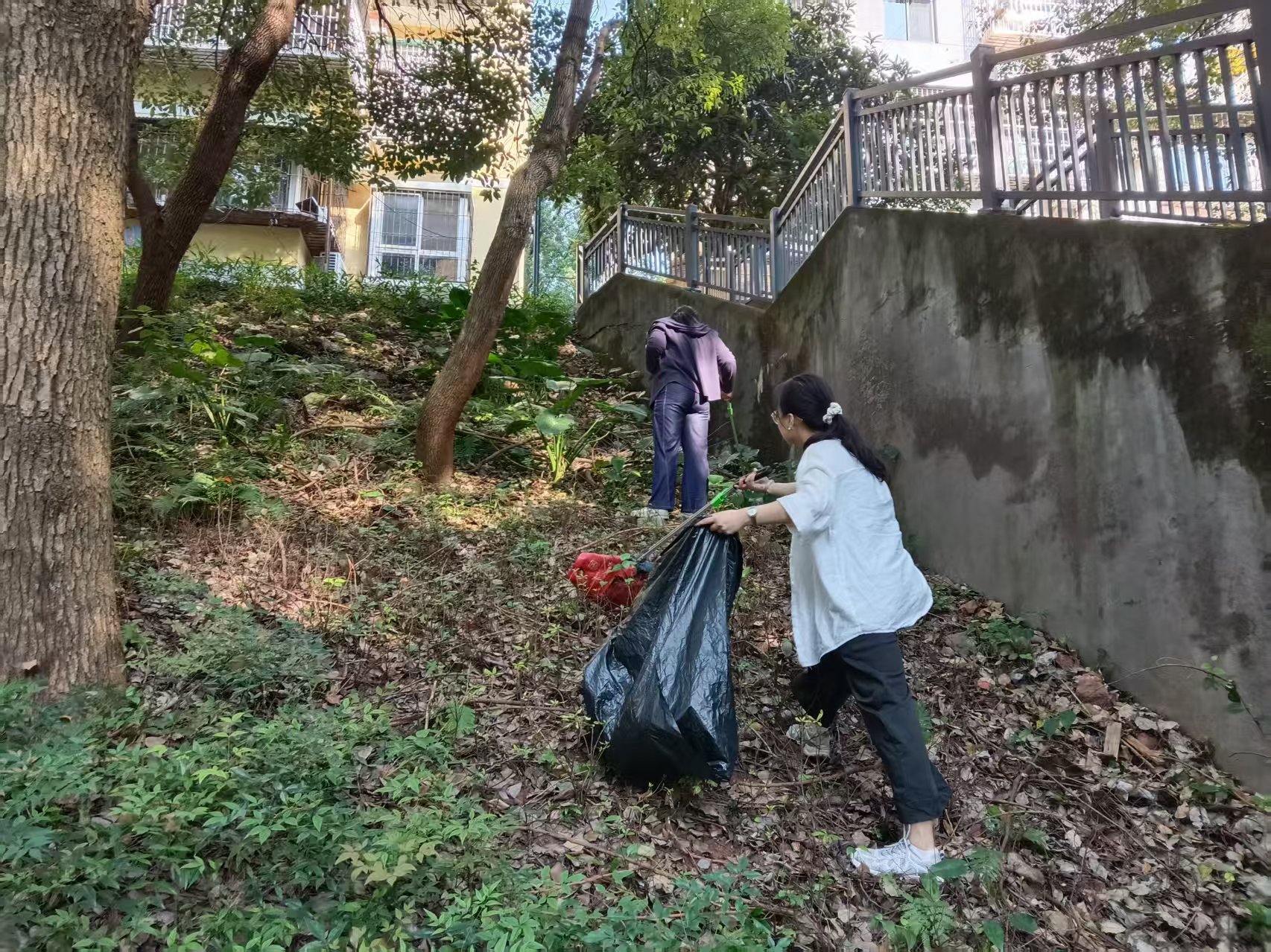 望江社区：垃圾分类“动真格”，人居环境“焕新颜”