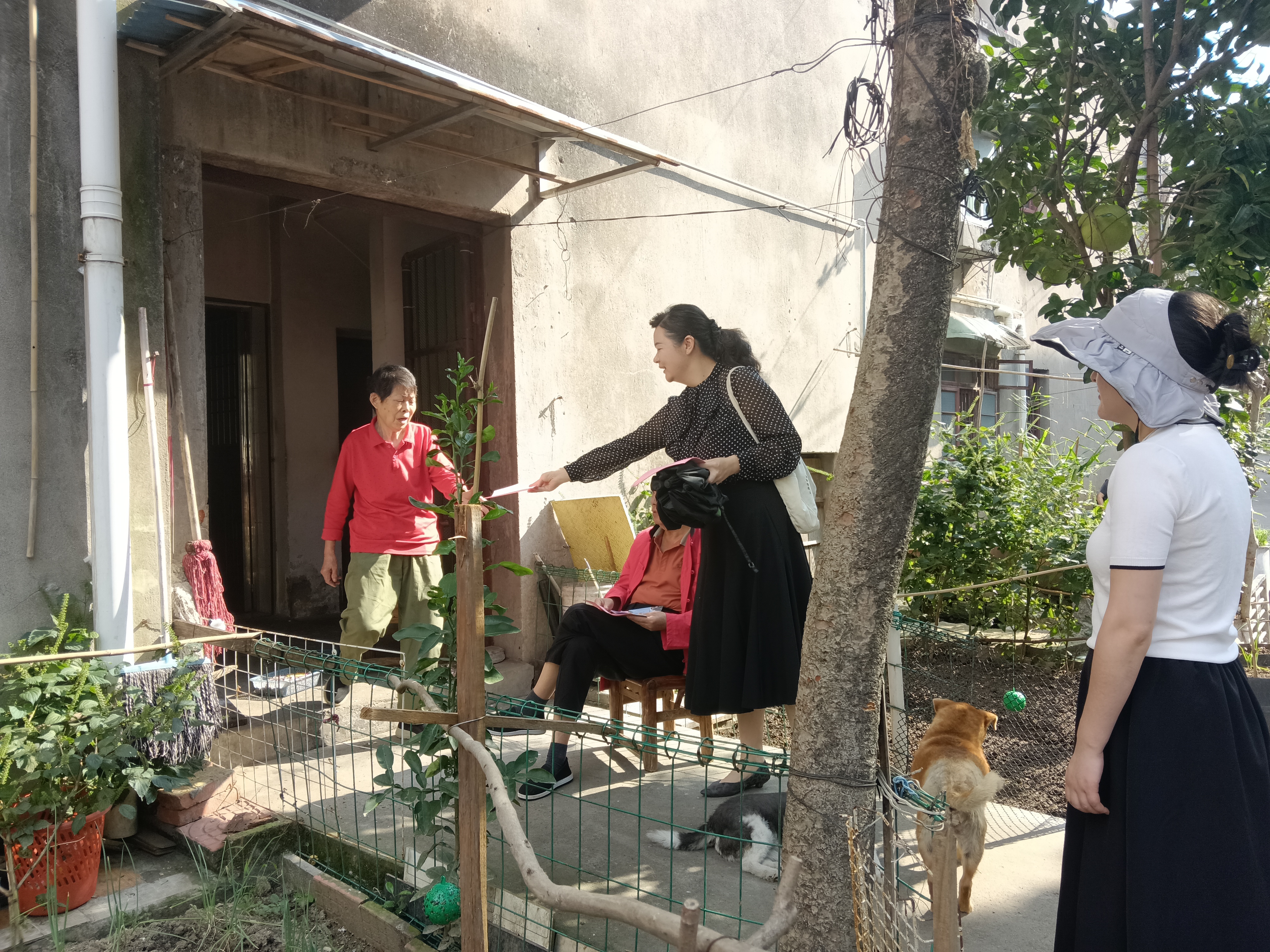 平湖社区：筑牢禁烧防线 守护蓝天净土